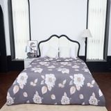  Chăn đông SH_BE24 E03 