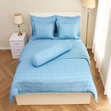 Bộ chăn ga gối cotton SH_BC24 107 