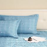  Bộ chăn ga gối cotton SH_BC24 107 