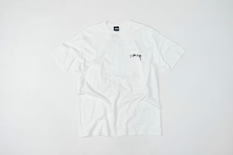  ARACHNID PIG DYED TEE-WHITE 