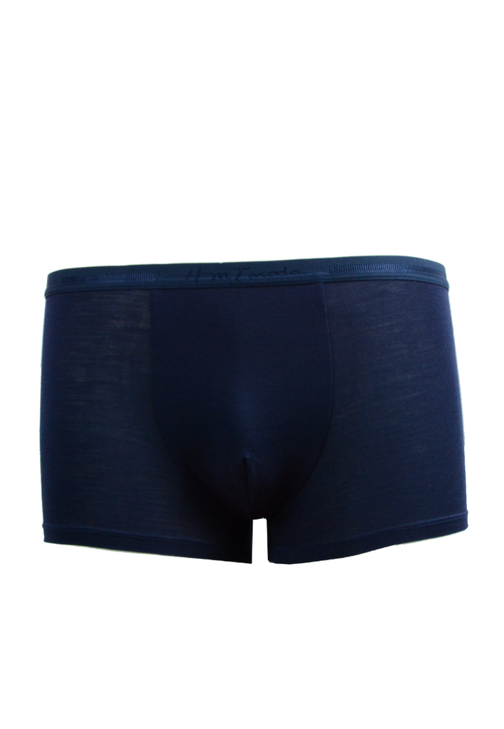 Quần lót nam HMTmoda JB1-1731