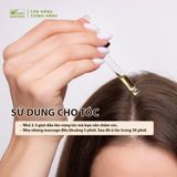  Dầu Chùm ngây nguyên chất (Moringa) 