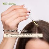  Dầu sachi nguyên chất (Sacha inchi) 