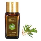  Tinh dầu Tràm trà nguyên chất (Tea Tree) 