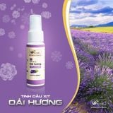  Tinh dầu xịt phòng Oải hương (Lavender) 