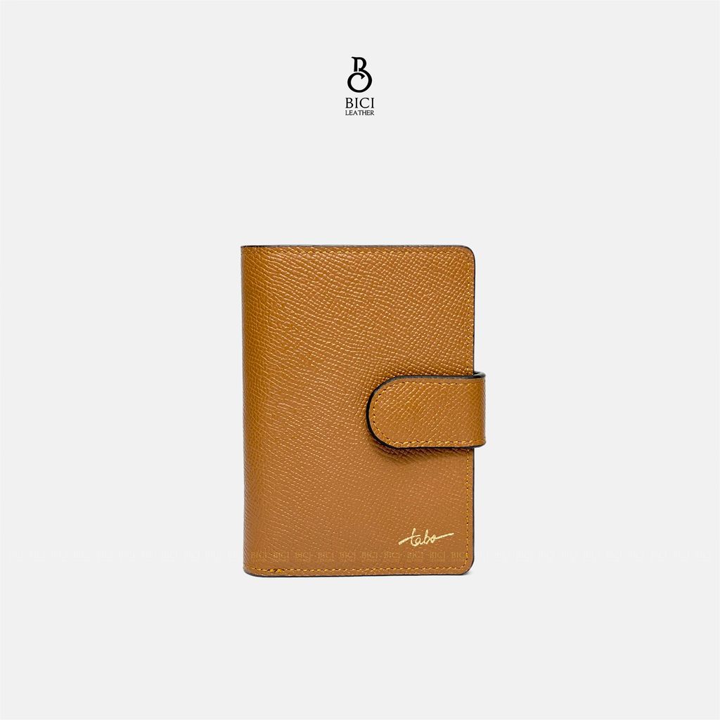 LISA V1