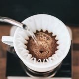  Giấy Lọc Cà Phê Brewista Next Wave 