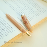  Set Bút Máy & Mực  Sailor Profit Jr +10 Mizutama (Bút + Mực + Converter) 