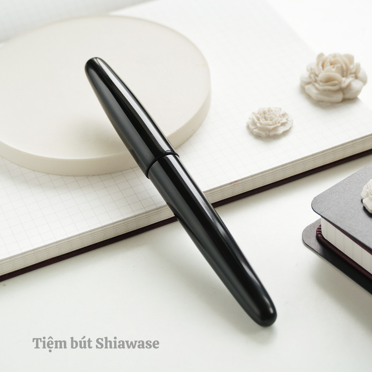  Bút Máy Wancher Dream Pen True Ebonite - Silk Black 