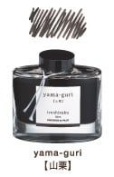  Mực Bút Máy Pilot Iroshizuku Lọ 50ml 