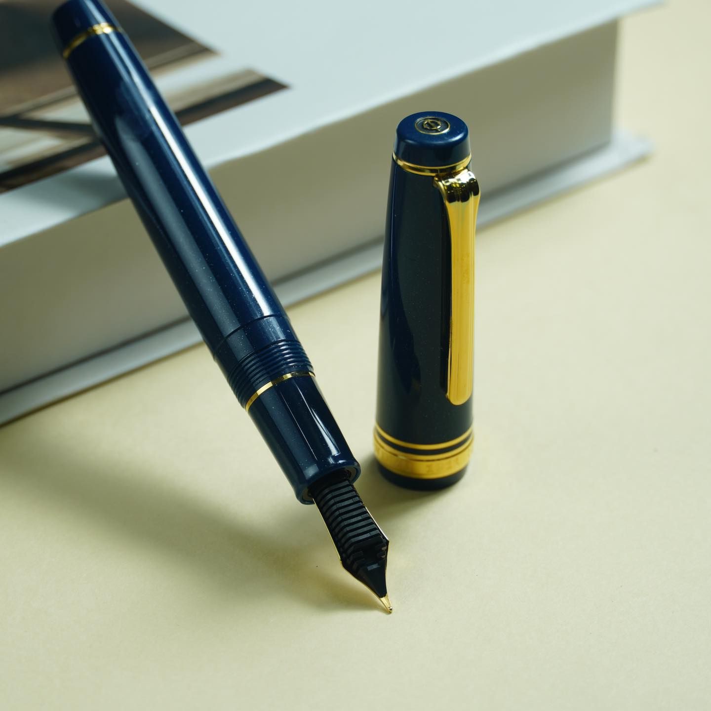  [Limited Edition] Bút Máy Sailor Professional Gear 2021 110th Anniversary 21K - Blue 