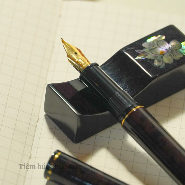  Wancher Kuretake Nodoka - Chagasumi (Brown) 