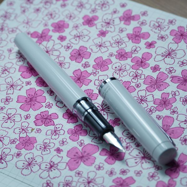  Bút Máy Platinum Procyon Porcelain White 