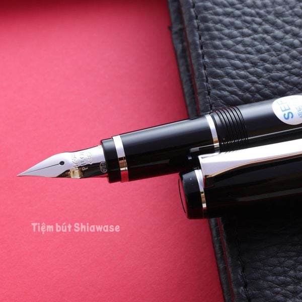  Bút Máy Pilot Elabo Ngòi Soft - Black - Đen (Bản Resin) 