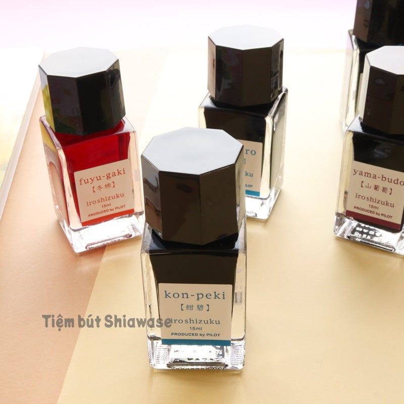  Mực Bút Máy Pilot Iroshizuku Lọ 15ml 