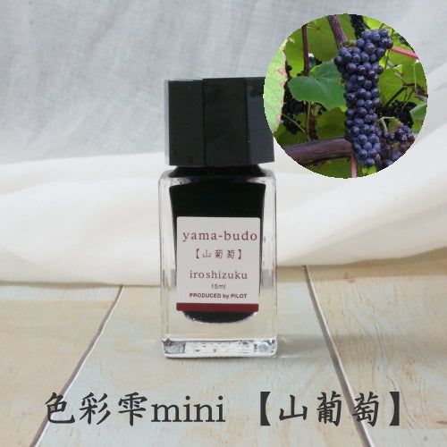  Mực Bút Máy Pilot Iroshizuku Lọ 15ml 