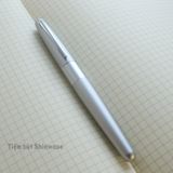  Bút Máy Pilot Cocoon - Silver - Bạc 