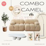 COMBO CAMEL - Combo phòng khách Rubies House 