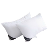  Ruột Gối bông Zara Home 