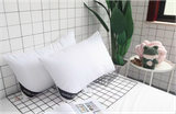  Ruột Gối bông Zara Home 
