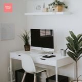  Bàn làm việc, bàn học Lentern Cao Cấp Rubies Houes 