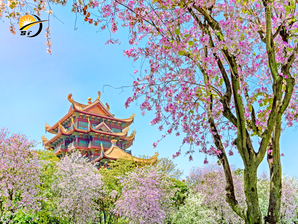 PHÚC CHÂU MÙA HOA LƯU TÔ - HẠ MÔN