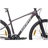  Giant Roam 2 Disc [2024] 