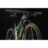  Trek Procaliber 9.6 [2025] 