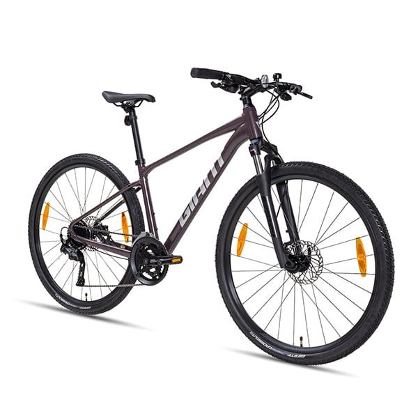  Giant Roam 2 Disc [2024] 