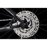  Trek Procaliber 6 [2024] 