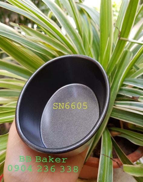  Khuôn oval mini chống dính Sanneng  - SN6605 