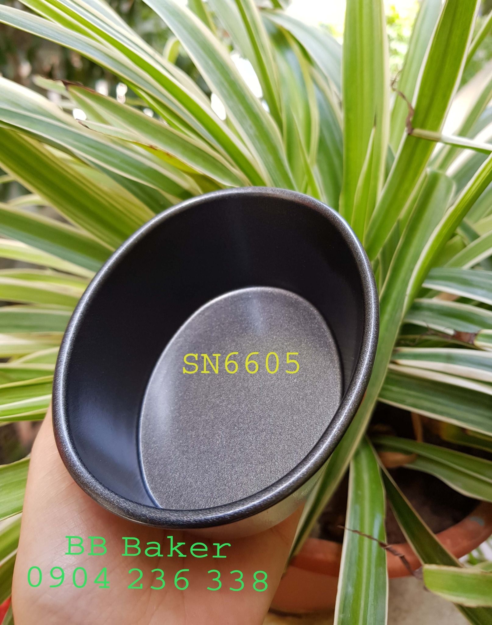 Khuôn oval mini chống dính Sanneng  - SN6605 