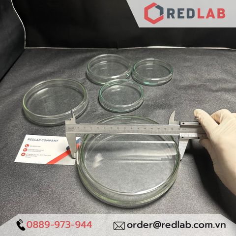 DURAN ĐỨC Cặp đĩa petri STERIPLAN thủy tinh Soda-lime 80x15, 90x15, 100x15, 100x20, 120x20, 150x25, 180x30 mm-Redlab