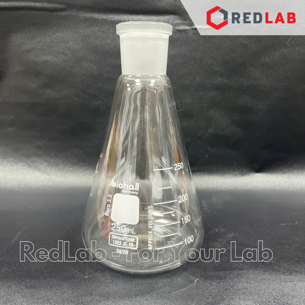 Bình tam giác thủy tinh cổ nhám BIOHALL 25 50 100 150 200 250 300 500 1000 ML - NS 14/23 19/26 24/29 29/32 34/35, có VAT