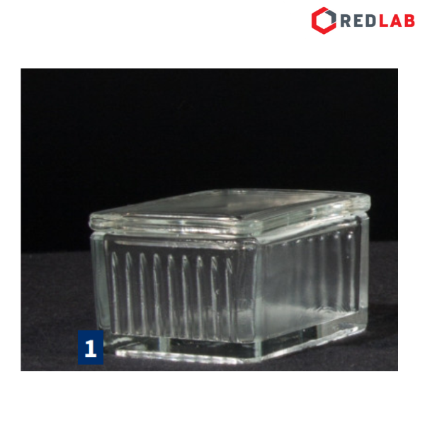 Hộp nhuộm lam NORMAX 10 / 8 / 5 vị trí, dạng Schiefferdecker / Hellendahl / Coplin, có VAT