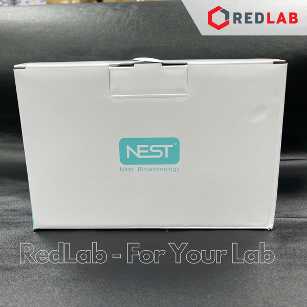 [Hộp 400 cái] Ống ly tâm nhựa 1.5ml NEST 615601 nhựa PP, dạng Eppendorf, chia vạch, có nắp (tiệt trùng gói 50 cái)