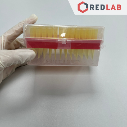 Hộp microtips (đầu típ col) cho micropipet 10µl 200µl 1000µl, hãng Greetmed / PT, gồm giá đựng, có VAT - REDLAB
