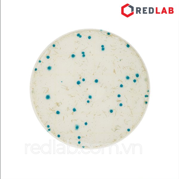 6478 / 6479 Đĩa Petrifilm kiểm nhanh tổng khuẩn hiếu khí NEOGEN (RAC) Petrifilm Rapid Aerobic Count Plates, có VAT