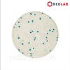6478 / 6479 Đĩa Petrifilm kiểm nhanh tổng khuẩn hiếu khí NEOGEN (Petrifilm Rapid Aerobic Count Plates), có VAT
