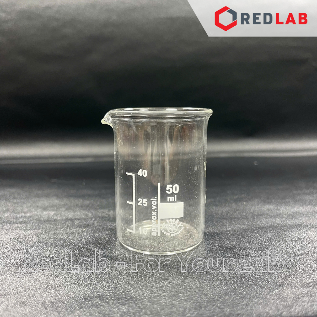 Merrylands, 40 Cl | Borraccia In Vetro (29565) | Trasparente | Axon Profil