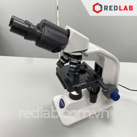Kính hiển vi quang học 2 mắt hãng OPTIKA - Ý model B-159, Vật kính 4x 10x 40x 100x (dầu), LED 1W, có VAT - redlab