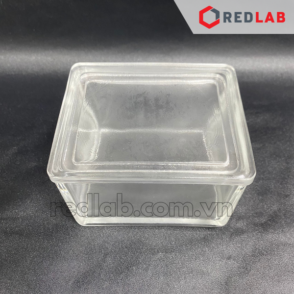 Hộp nhuộm lam kính DINLAB 4 bộ phận: Hộp nhuộm lam + nắp + khay đựng 10 vị trí + tay treo, có bán lẻ, có VAT