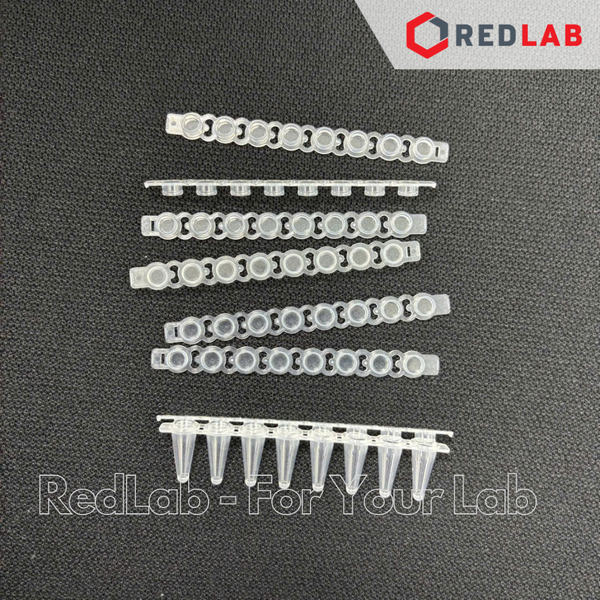 [125 trips+125 caps] Tuýp PCR 8-strip 0.1ml + Nắp cho tuýp PCR 8-strip cap NEST 403102 + 406012, có VAT