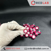 Đầu lọc sắc ký PVDF ưa nước MEMBRANE SOLUTIONS 13mm lỗ lọc 0.22um / 0.45um, hydrophilic syringe filter, có VAT