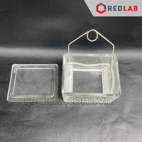 Hộp nhuộm lam kính DINLAB 4 bộ phận: Hộp nhuộm lam + nắp + khay đựng 10 vị trí + tay treo - Redlab