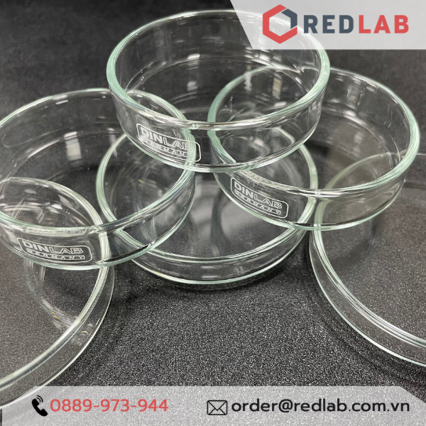 Đĩa petri thuỷ tinh (gồm nắp) nhiều kích thước 60x15mm, 80x15mm, 90x15mm, 100x15mm, 100x20mm, 120x20mm, 150x25mm 180x30mm, 200x30mm DINLAB (gồm đĩa và nắp)