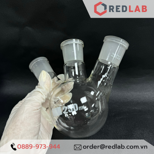 Bình cầu đáy tròn 3 cổ nhám BIOHALL 250 500 1000 ml 2L 5L 10L 20L - 19/26 24/29 29/32 34/35 45/40 55/44, có VAT