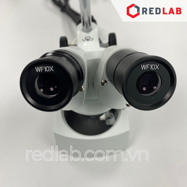 Kính hiển vi 2 mắt soi nổi XT-202, Vật kính 2x 4x, đèn LED 10W, có VAT