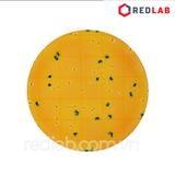 6436 / 6437 Đĩa Petrifilm kiểm E.coli/Coliforms NEOGEN (Petrifilm Rapid E. coli/Coliform Count Plates), có VAT