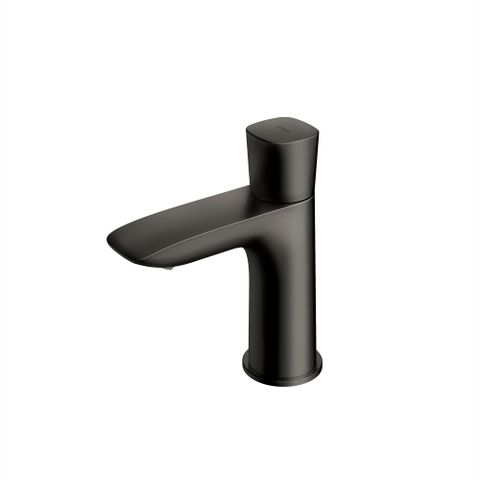  Vòi lavabo lạnh Matte Black TLG04101B#MBL 